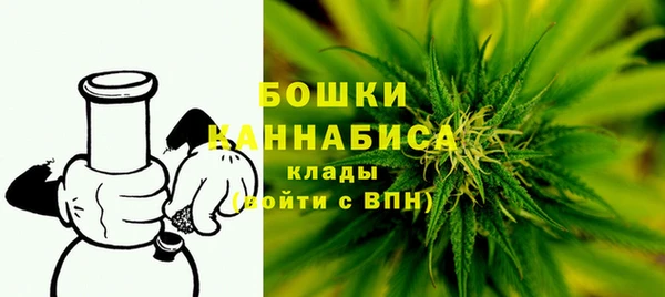 шишки Володарск